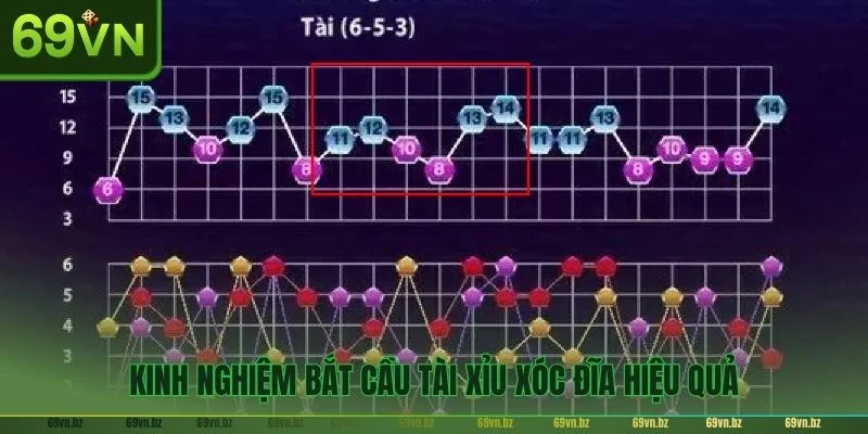 Bỏ túi kinh nghiệm bắt cầu hiệu quả tối ưu hóa lợi nhuận.