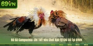 Đá Gà Campuchia: Chi Tiết Kèo Chơi Bạc Tỷ Chỉ Có Tại 69VN