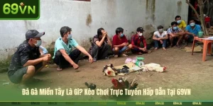 Đá Gà Miền Tây Là Gì? Kèo Chơi Trực Tuyến Hấp Dẫn Tại 69VN