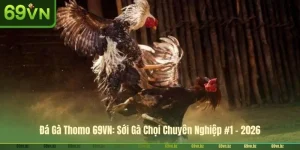 Đá Gà Thomo 69VN: Sới Gà Chọi Chuyên Nghiệp #1 - 2026