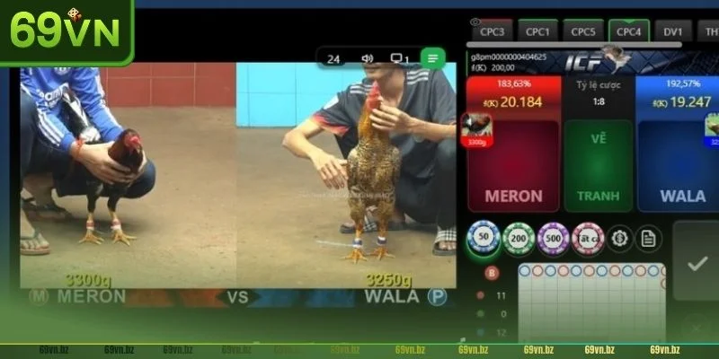 Xem đá gà miền tây ở 69VN để có được trải nghiệm đẳng cấp nhất.